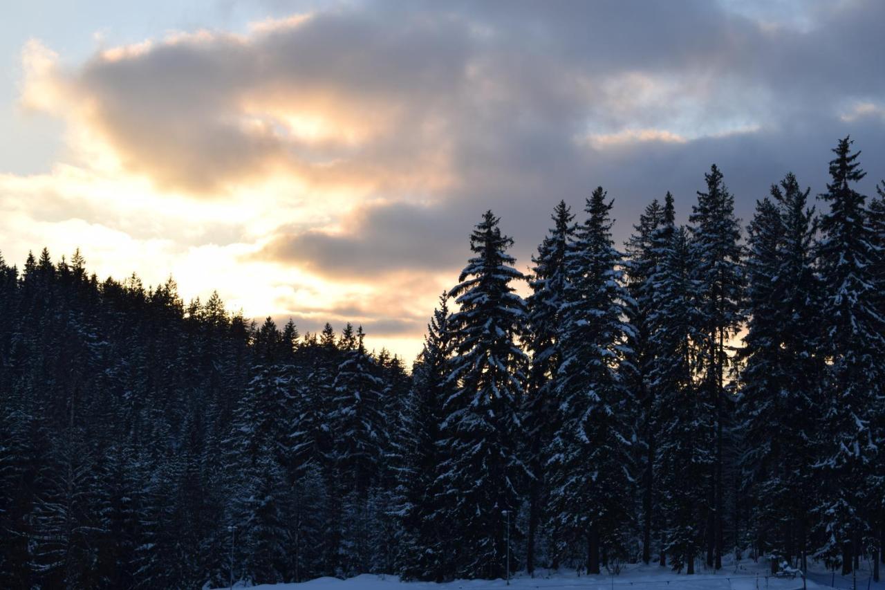 Grand Harrachov Pension V Centru المظهر الخارجي الصورة